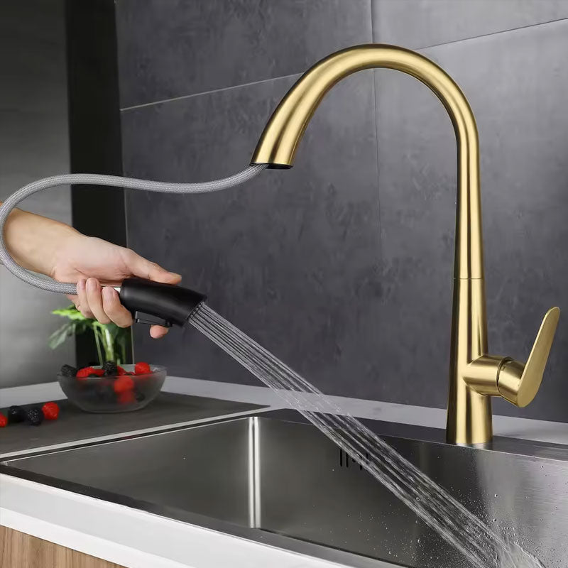 Évier Cuisine Inox 304 Doré – Robinet Mitigeur Rétractable